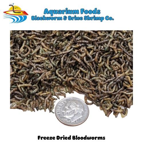 Freeze dried bloodworms - freeze-dried,